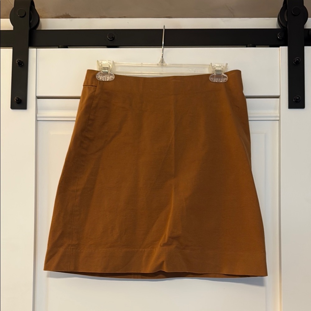 Everlane Mini Skirt